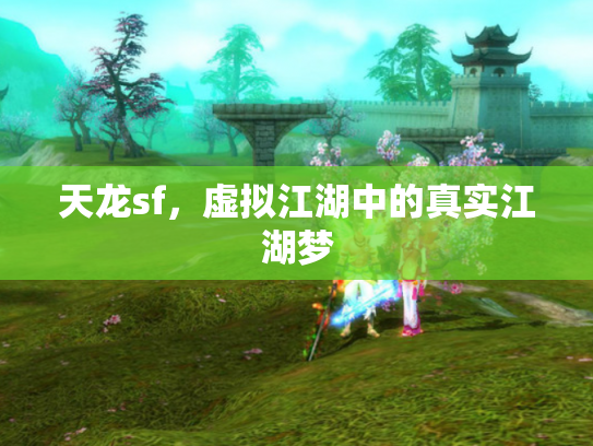 天龙sf，虚拟江湖中的真实江湖梦
