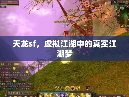 天龙sf，虚拟江湖中的真实江湖梦