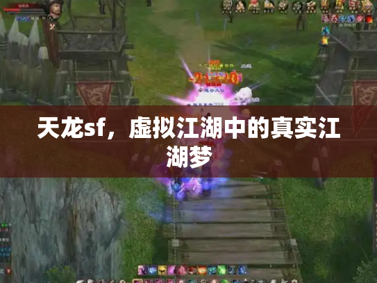 天龙sf，虚拟江湖中的真实江湖梦
