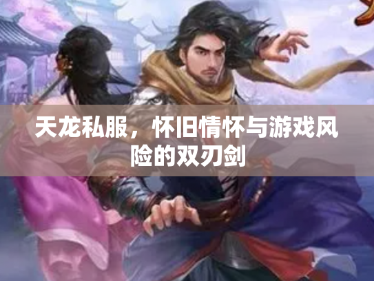 天龙私服，怀旧情怀与游戏风险的双刃剑