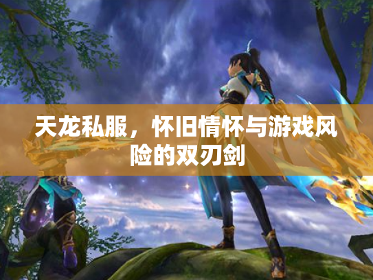 天龙私服，怀旧情怀与游戏风险的双刃剑