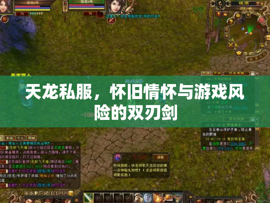 天龙私服，怀旧情怀与游戏风险的双刃剑