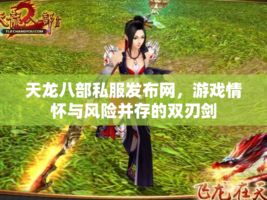 天龙八部私服发布网，游戏情怀与风险并存的双刃剑
