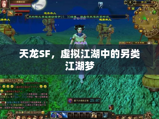 天龙SF，虚拟江湖中的另类江湖梦