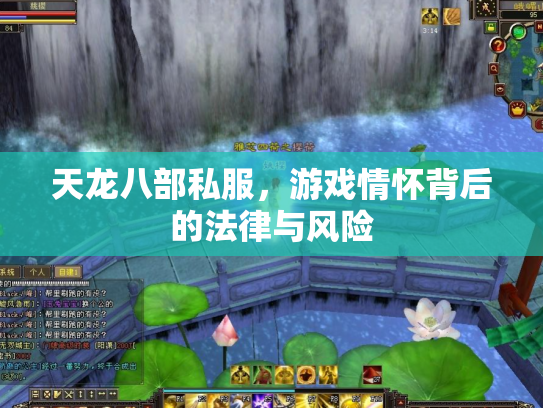 天龙八部私服，游戏情怀背后的法律与风险