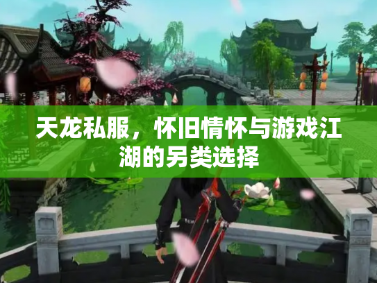 天龙私服，怀旧情怀与游戏江湖的另类选择