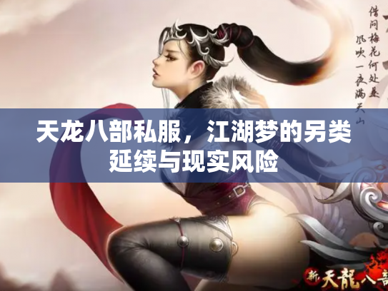 天龙八部私服，江湖梦的另类延续与现实风险