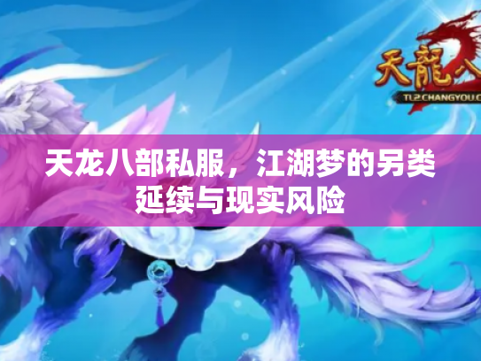 天龙八部私服，江湖梦的另类延续与现实风险