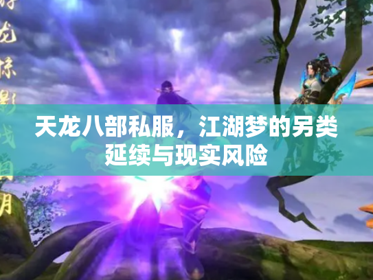 天龙八部私服，江湖梦的另类延续与现实风险