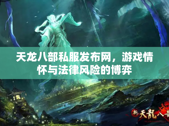 天龙八部私服发布网，游戏情怀与法律风险的博弈