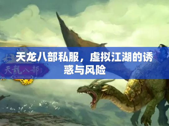 天龙八部私服，虚拟江湖的诱惑与风险