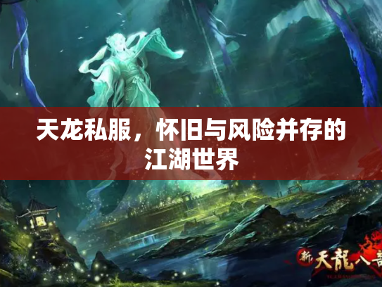 天龙私服，怀旧与风险并存的江湖世界