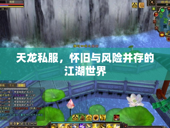 天龙私服，怀旧与风险并存的江湖世界