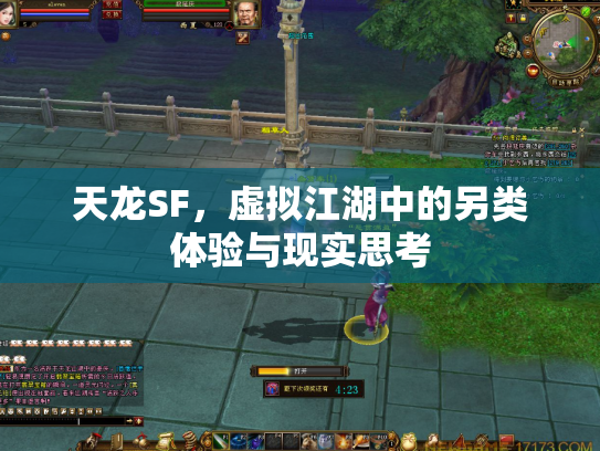 天龙SF，虚拟江湖中的另类体验与现实思考