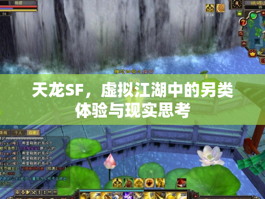 天龙SF，虚拟江湖中的另类体验与现实思考