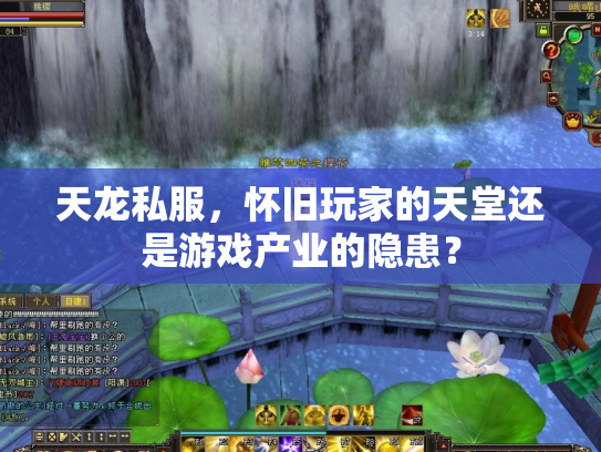 天龙私服，怀旧玩家的天堂还是游戏产业的隐患？