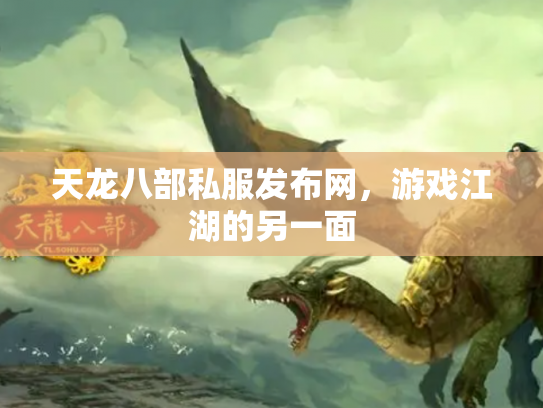 天龙八部私服发布网，游戏江湖的另一面
