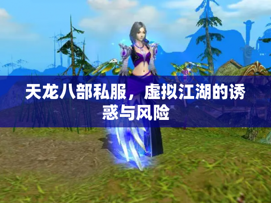 天龙八部私服，虚拟江湖的诱惑与风险
