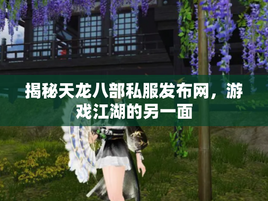 揭秘天龙八部私服发布网，游戏江湖的另一面