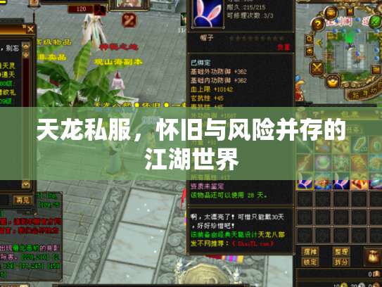 天龙私服，怀旧与风险并存的江湖世界