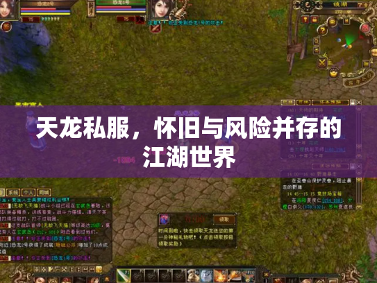 天龙私服，怀旧与风险并存的江湖世界