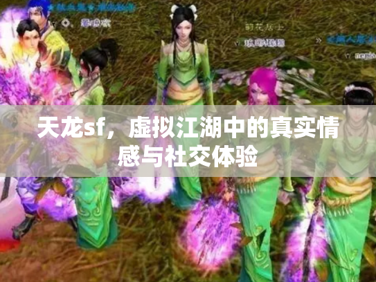 天龙sf，虚拟江湖中的真实情感与社交体验