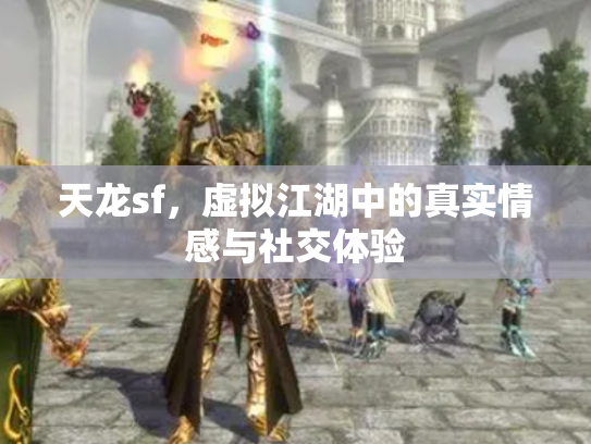 天龙sf，虚拟江湖中的真实情感与社交体验