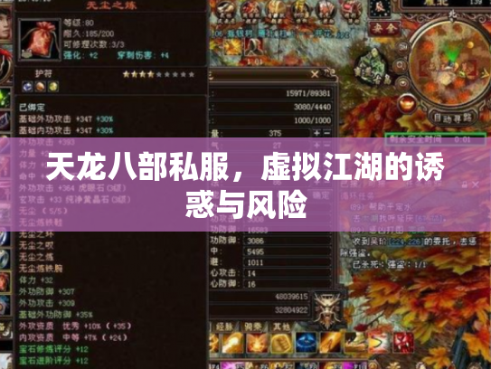 天龙八部私服，虚拟江湖的诱惑与风险