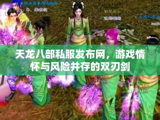 天龙八部私服发布网，游戏情怀与风险并存的双刃剑