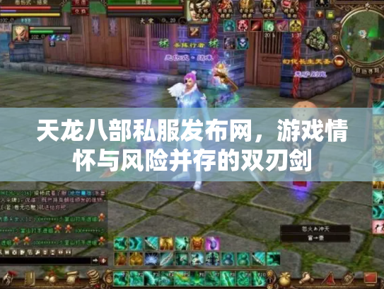 天龙八部私服发布网，游戏情怀与风险并存的双刃剑