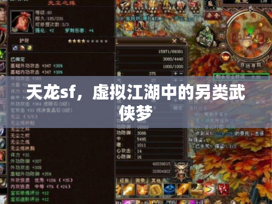 天龙sf，虚拟江湖中的另类武侠梦