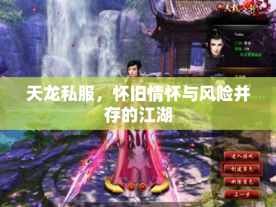 天龙私服，怀旧情怀与风险并存的江湖