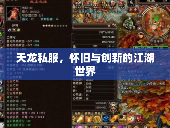 天龙私服，怀旧与创新的江湖世界