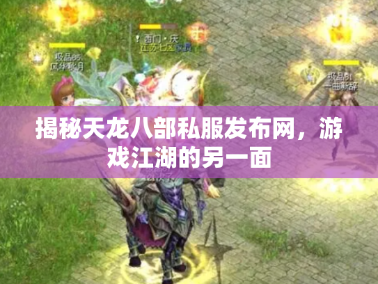 揭秘天龙八部私服发布网，游戏江湖的另一面