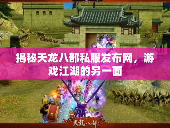 揭秘天龙八部私服发布网，游戏江湖的另一面