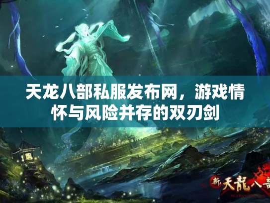 天龙八部私服发布网，游戏情怀与风险并存的双刃剑