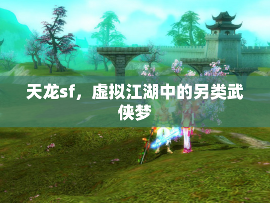 天龙sf，虚拟江湖中的另类武侠梦