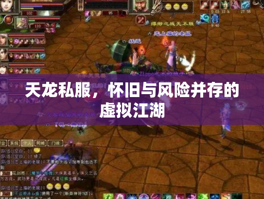 天龙私服，怀旧与风险并存的虚拟江湖