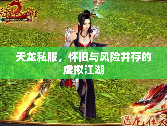 天龙私服，怀旧与风险并存的虚拟江湖
