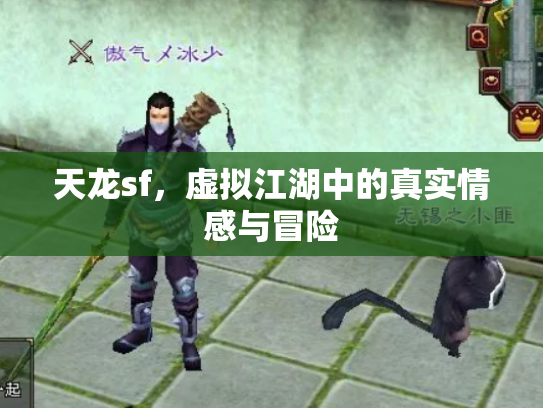 天龙sf，虚拟江湖中的真实情感与冒险