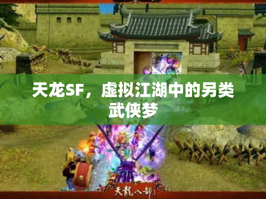 天龙SF，虚拟江湖中的另类武侠梦