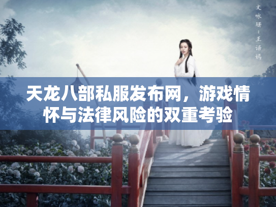 天龙八部私服发布网，游戏情怀与法律风险的双重考验