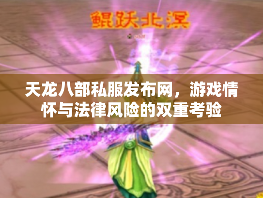 天龙八部私服发布网，游戏情怀与法律风险的双重考验
