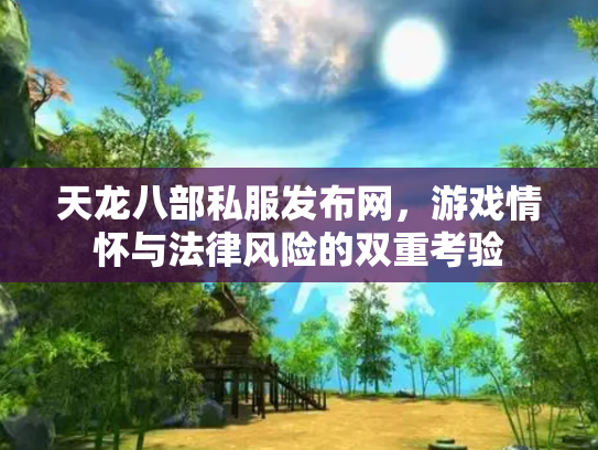 天龙八部私服发布网，游戏情怀与法律风险的双重考验