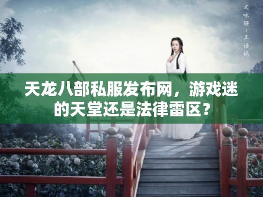 天龙八部私服发布网，游戏迷的天堂还是法律雷区？