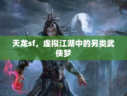 天龙sf，虚拟江湖中的另类武侠梦