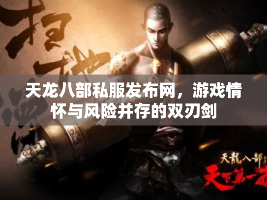 天龙八部私服发布网，游戏情怀与风险并存的双刃剑