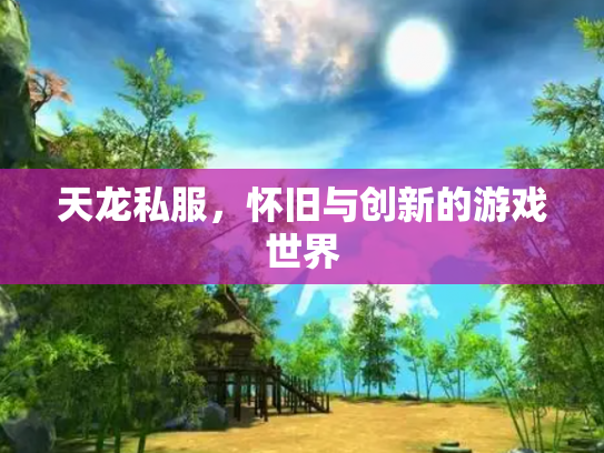 天龙私服，怀旧与创新的游戏世界