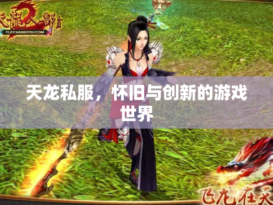 天龙私服，怀旧与创新的游戏世界