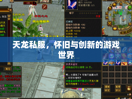 天龙私服，怀旧与创新的游戏世界